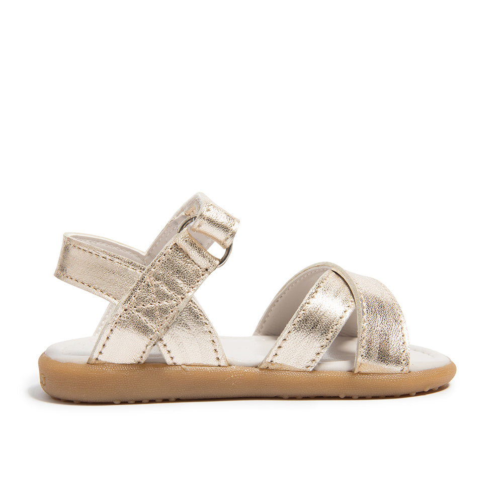BEAUMONT Toddler Sandals - Shop Online | shooshoos.co.za 